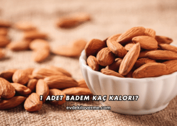 1 Adet Badem Kaç Kalori?