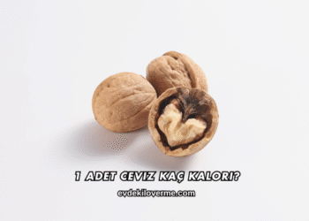 1 Adet Ceviz Kaç Kalori?