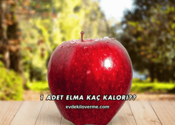 1 Adet Elma Kaç Kalori?