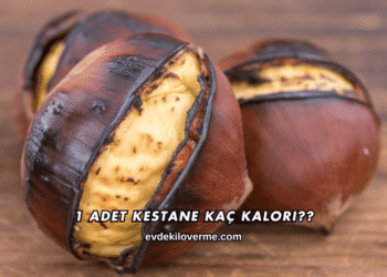 1 Adet Kestane Kaç Kalori?