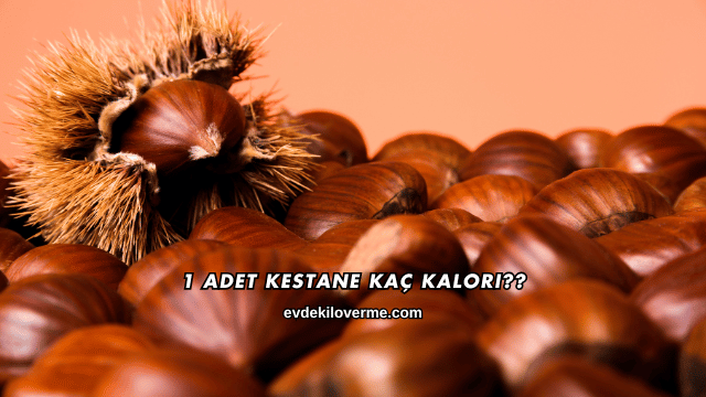 1 Adet Kestane Kaç Kalori?