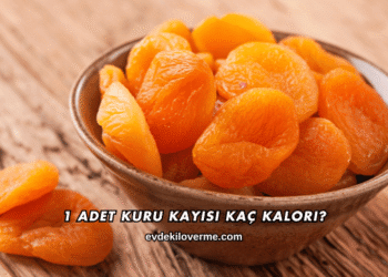 1 Adet Kuru Kayısı Kaç Kalori?