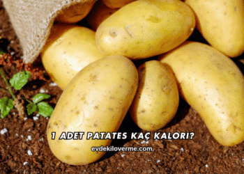 1 Adet Patates Kaç Kalori?