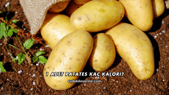 1 Adet Patates Kaç Kalori?