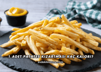 1 Adet Patates Kızartması Kaç Kalori?