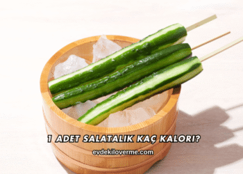 1 Adet Salatalık Kaç Kalori?
