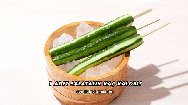 1 Adet Salatalık Kaç Kalori?