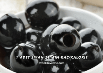 1 Adet Siyah Zeytin Kaç Kalori?