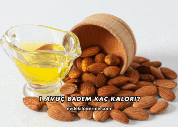 1 Avuç Badem Kaç Kalori?