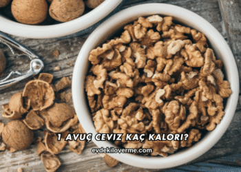 1 Avuç Ceviz Kaç Kalori?
