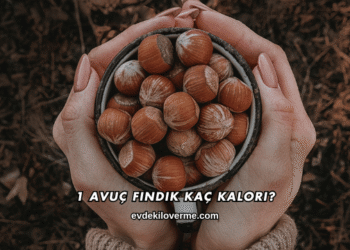 1 Avuç Fındık Kaç Kalori?