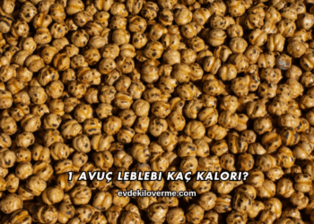 1 Avuç Leblebi Kaç Kalori?