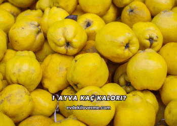 1 Ayva Kaç Kalori?