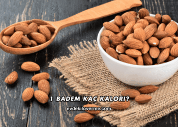 1 Badem Kaç Kalori?