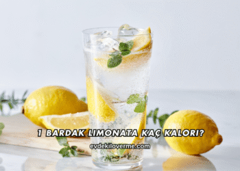 1 Bardak Limonata Kaç Kalori?