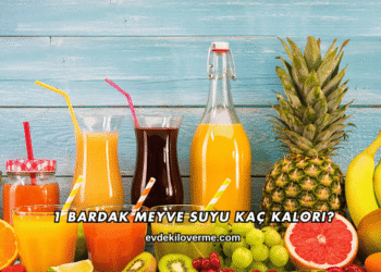 1 Bardak Meyve Suyu Kaç Kalori?