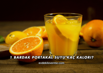 1 Bardak Portakal Suyu Kaç Kalori?