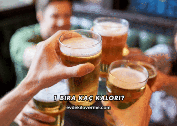 1 Bira Kaç Kalori?