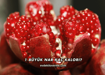 1 Büyük Nar Kaç Kalori?