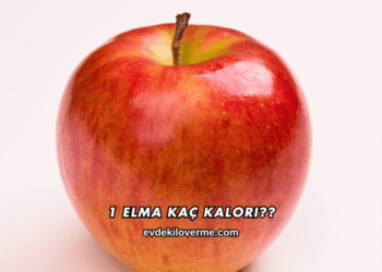 1 Elma Kaç Kalori?