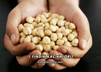 1 Fındık Kaç Kalori?