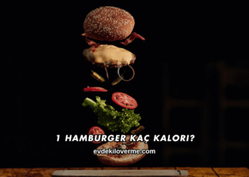 1 Hamburger Kaç Kalori?