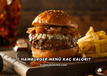 1 Hamburger Menü Kaç Kalori?
