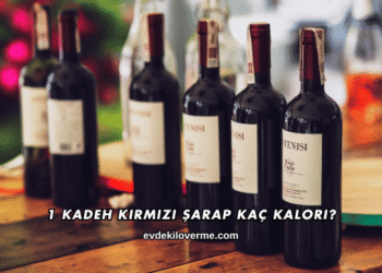 1 Kadeh Kırmızı Şarap Kaç Kalori?