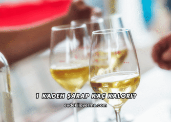 1 Kadeh Şarap Kaç Kalori?