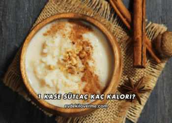 1 Kase Sütlaç Kaç Kalori?