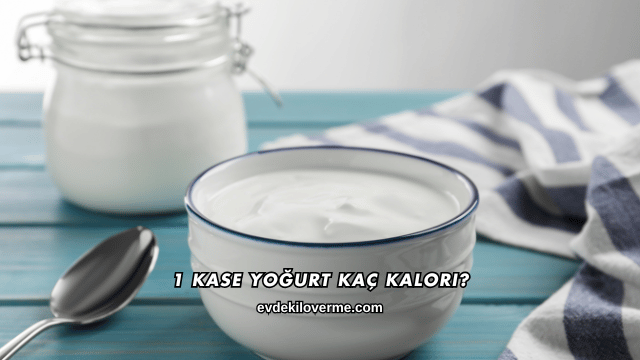 1 Kase Yoğurt Kaç Kalori?