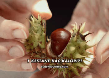 1 Kestane Kaç Kalori?