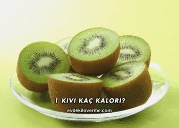 1 Kivi Kaç Kalori?