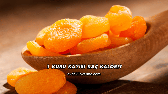 1 Kuru Kayısı Kaç Kalori?