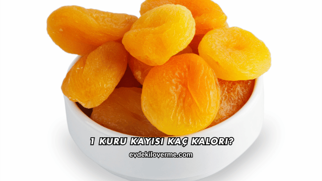 1 Kuru Kayısı Kaç Kalori?