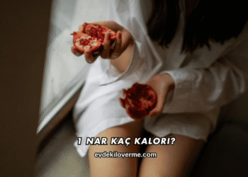 1 Nar Kaç Kalori?
