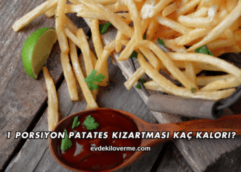 1 Porsiyon Patates Kızartması Kaç Kalori?