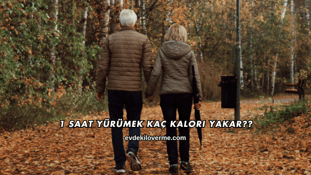 1 Saat Yürümek Kaç Kalori Yakar?