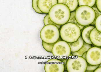 1 Salatalık Kaç Kalori?