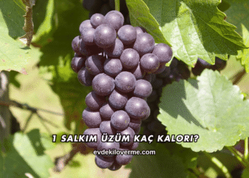 1 Salkım Üzüm Kaç Kalori?