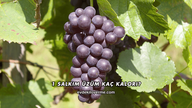 1 Salkım Üzüm Kaç Kalori?