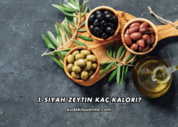 1 Siyah Zeytin Kaç Kalori?