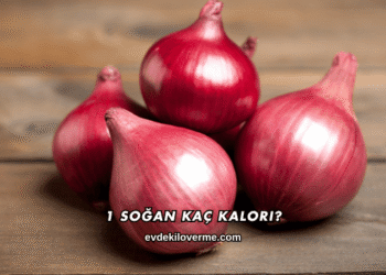 1 Soğan Kaç Kalori?