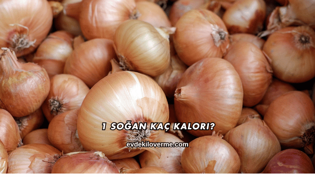 1 Soğan Kaç Kalori?