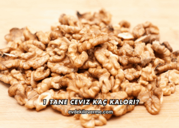 1 Tane Ceviz Kaç Kalori?