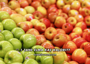1 Tane Elma Kaç Kalori?