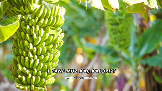 1 Tane Muz Kaç Kalori?