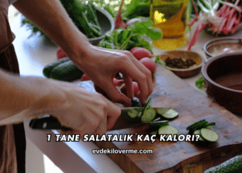 1 Tane Salatalık Kaç Kalori?