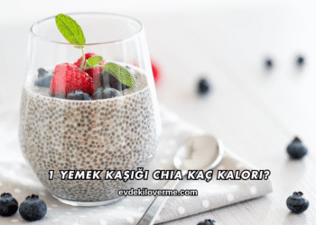 1 Yemek Kaşığı Chia Kaç Kalori?