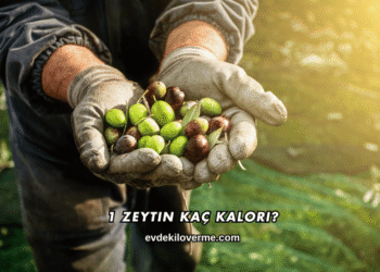 1 Zeytin Kaç Kalori?